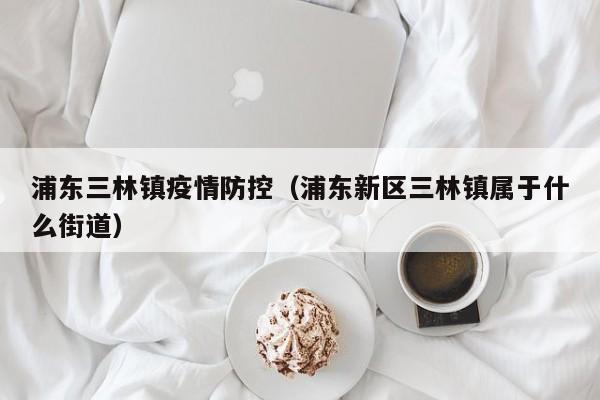 浦东三林镇疫情防控(浦东新区三林镇属于什么街道)