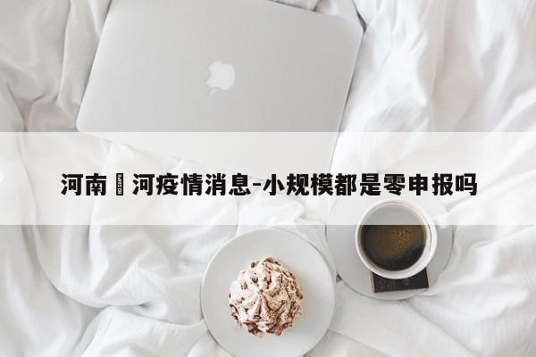 河南傫河疫情消息-小规模都是零申报吗