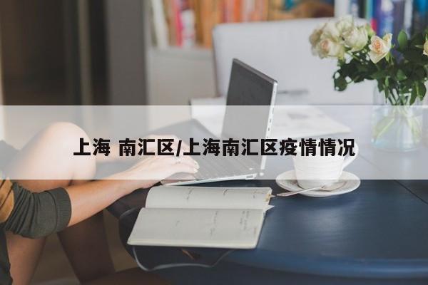 上海 南汇区/上海南汇区疫情情况