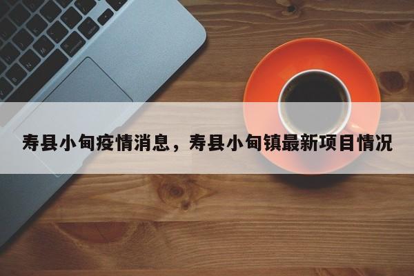 寿县小甸疫情消息，寿县小甸镇最新项目情况