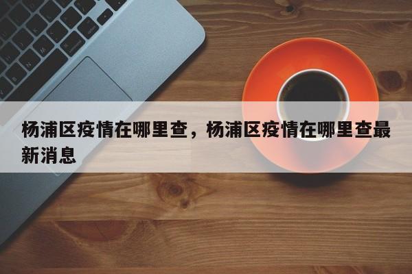 杨浦区疫情在哪里查,杨浦区疫情在哪里查最新消息