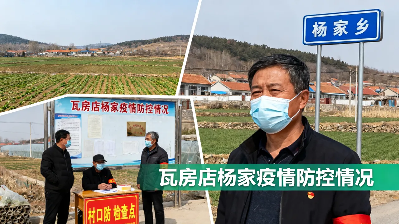 瓦房店杨家疫情通报，瓦房店杨家乡简介