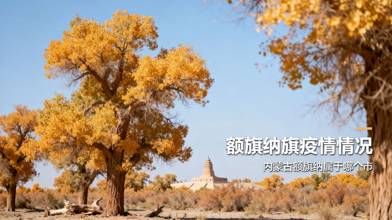 额旗纳旗疫情情况,内蒙古额旗纳属于哪个市